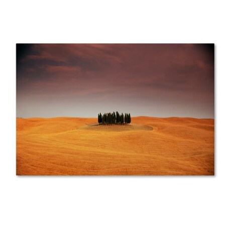 Trademark Fine Art